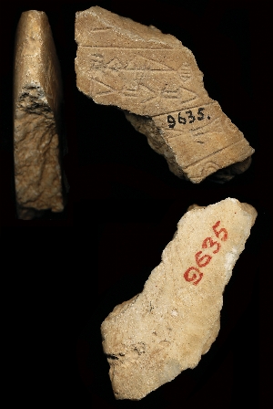 CBS9635