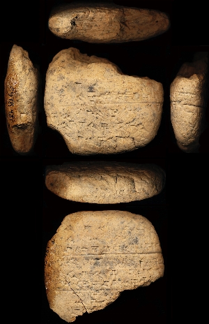 29-15-481