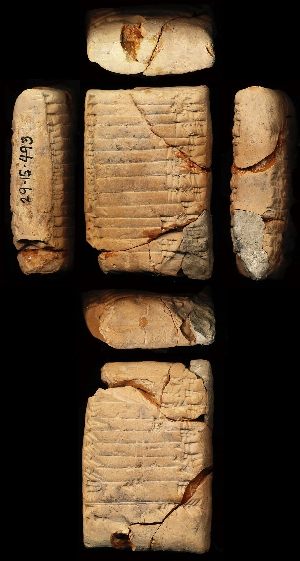 29-15-493