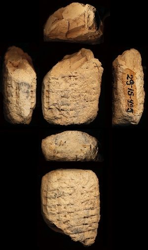 29-15-495