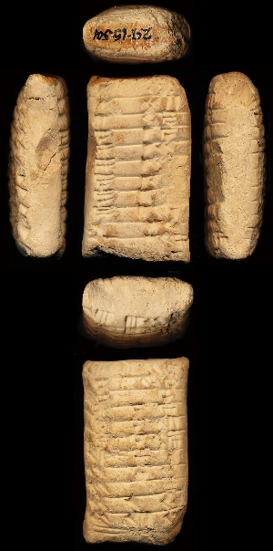 29-15-501