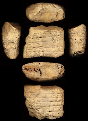 29-15-504