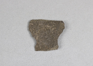 29-113-36