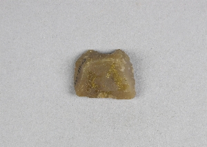 29-113-229