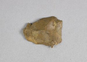 29-113-234B