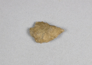 29-113-54