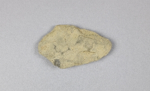 NA5281
