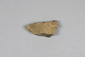 29-119-1.31