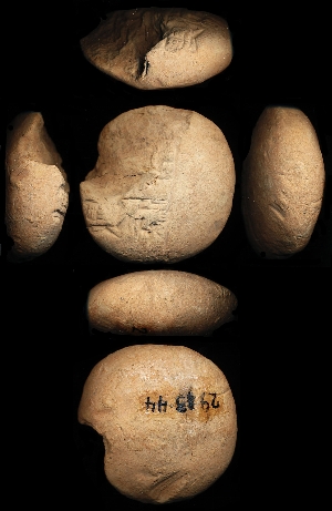 29-13-44