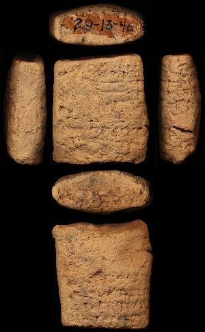 29-13-46