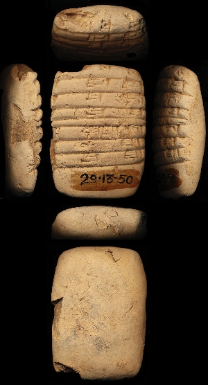 29-13-50