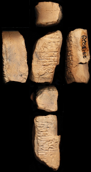N1249