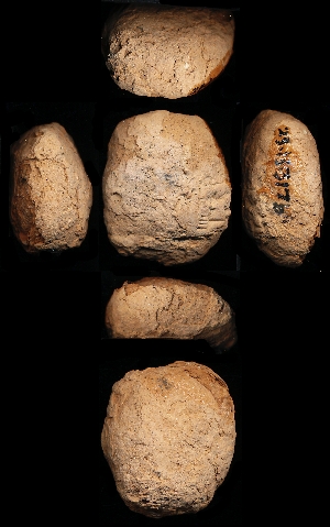 29-13-317B