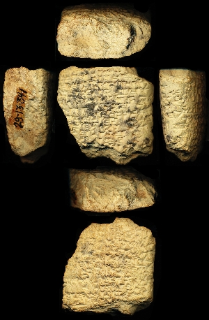 29-13-341