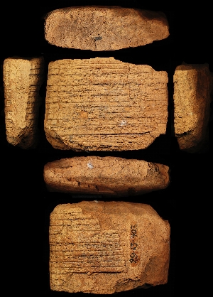 29-13-403