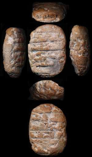 29-13-405B