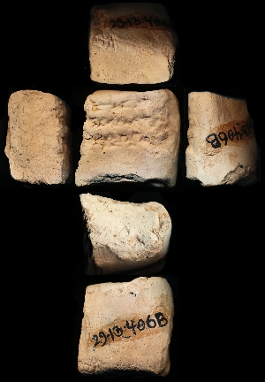 29-13-406B