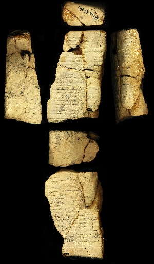 29-13-409