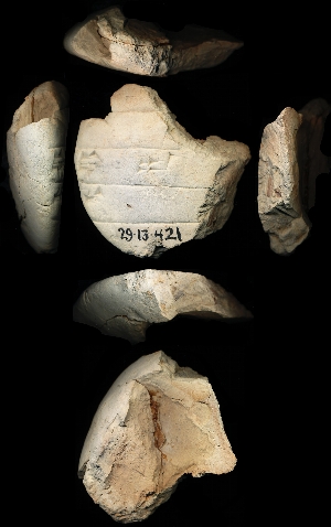 29-13-421