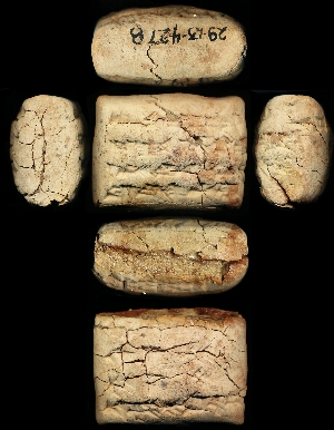 29-13-427B