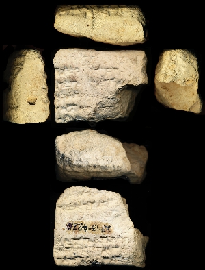 29-13-428