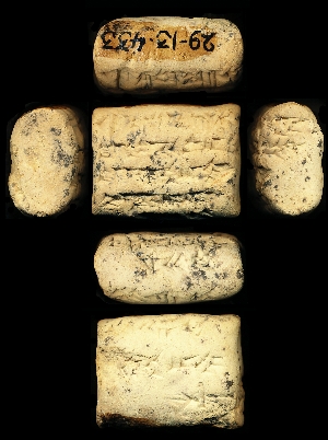 29-13-433