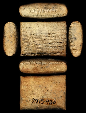 29-13-436