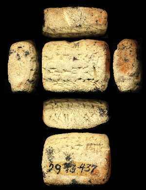 29-13-437