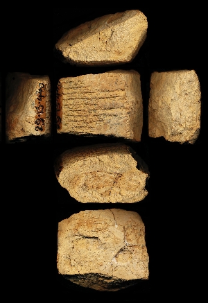 29-13-440
