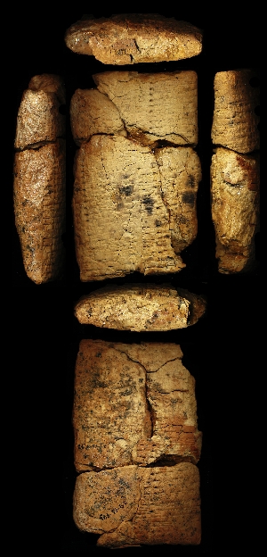 29-13-443