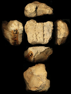 29-13-444