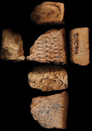 29-13-456