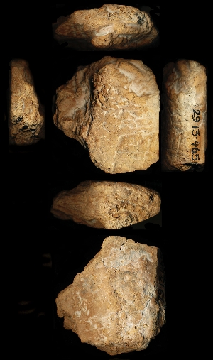 29-13-465
