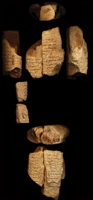29-13-473