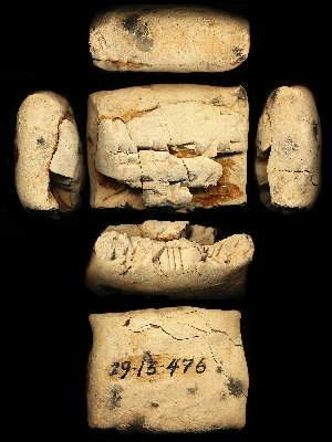 29-13-476