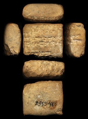 29-13-486