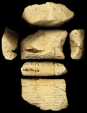 29-13-489