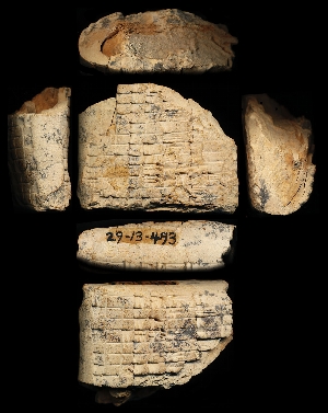 29-13-493