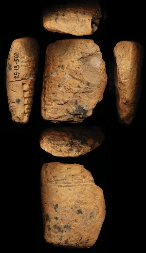 29-13-503