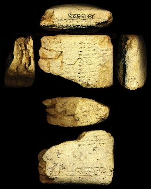 29-13-523