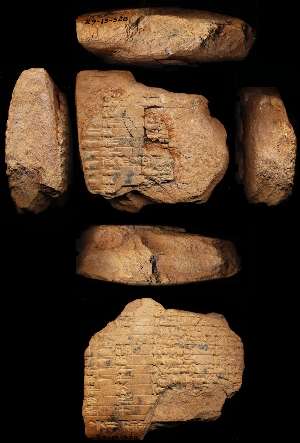 29-13-528
