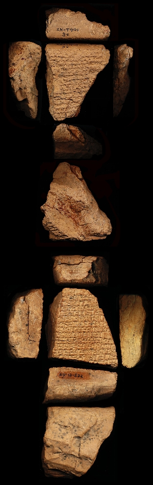 29-13-532
