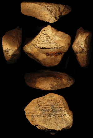 29-13-534