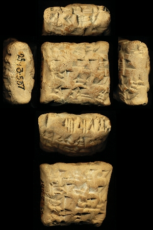 29-13-537