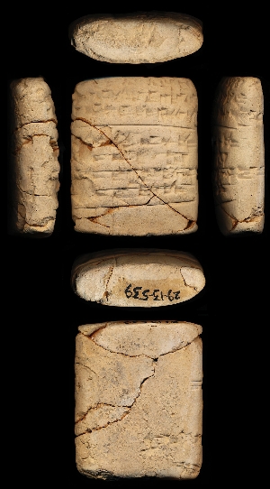 29-13-539