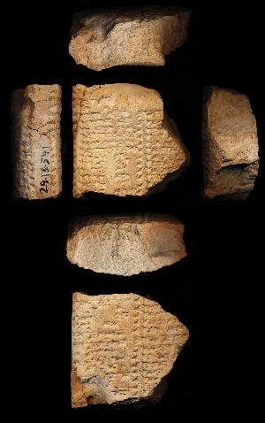 29-13-541