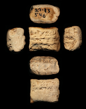 29-13-546
