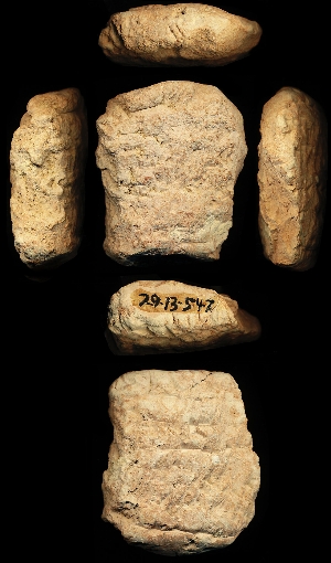 29-13-547