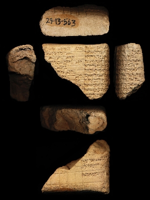 29-13-563