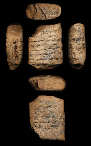 29-13-564
